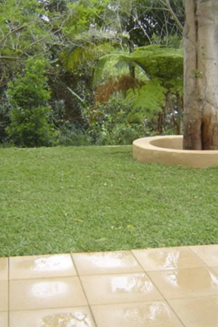 Before: an open lawn with a tree and no paths